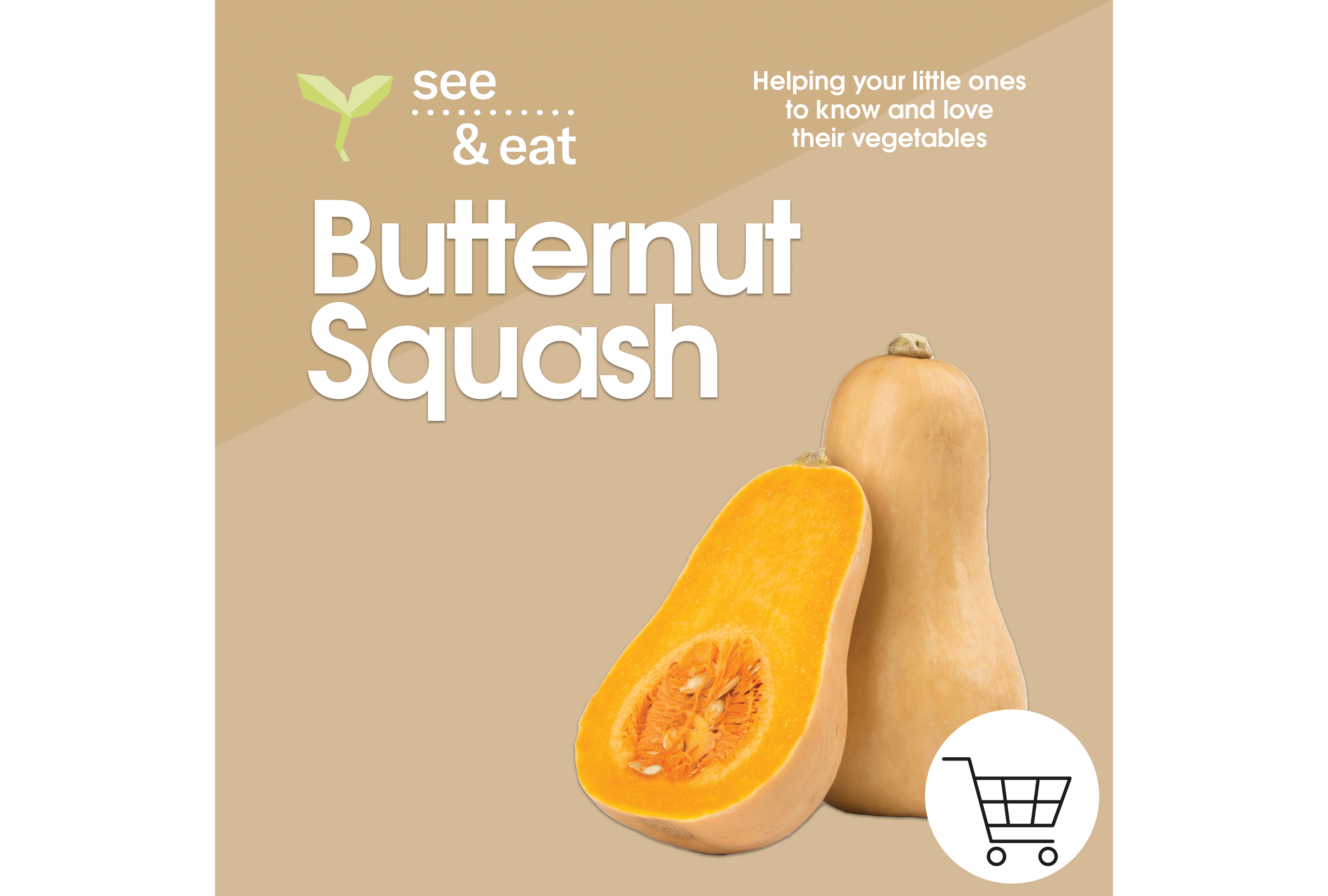 Butternut Squash