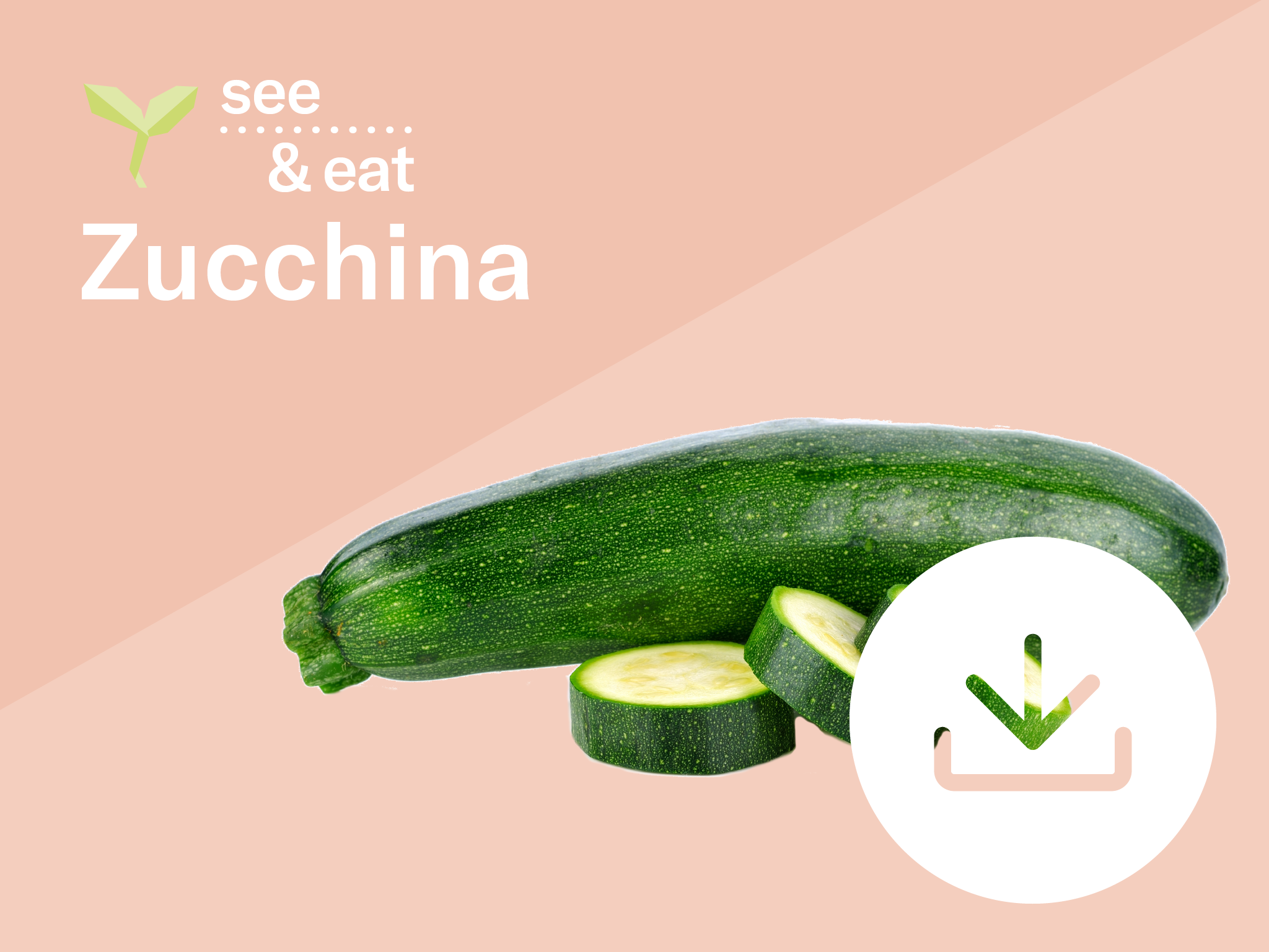 Zucchina